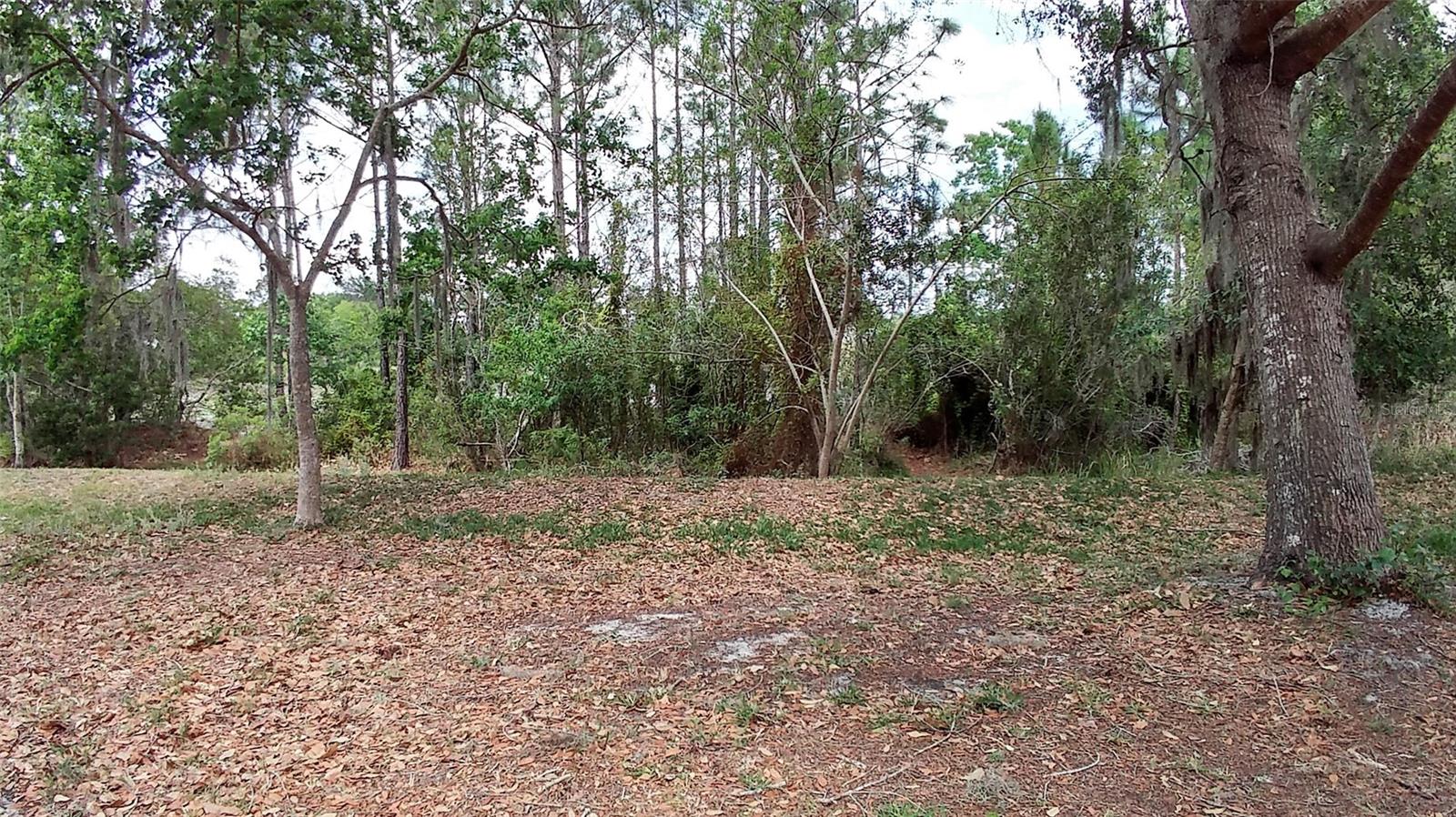 Image 12 of 12 For 3842 Stonefield Drive