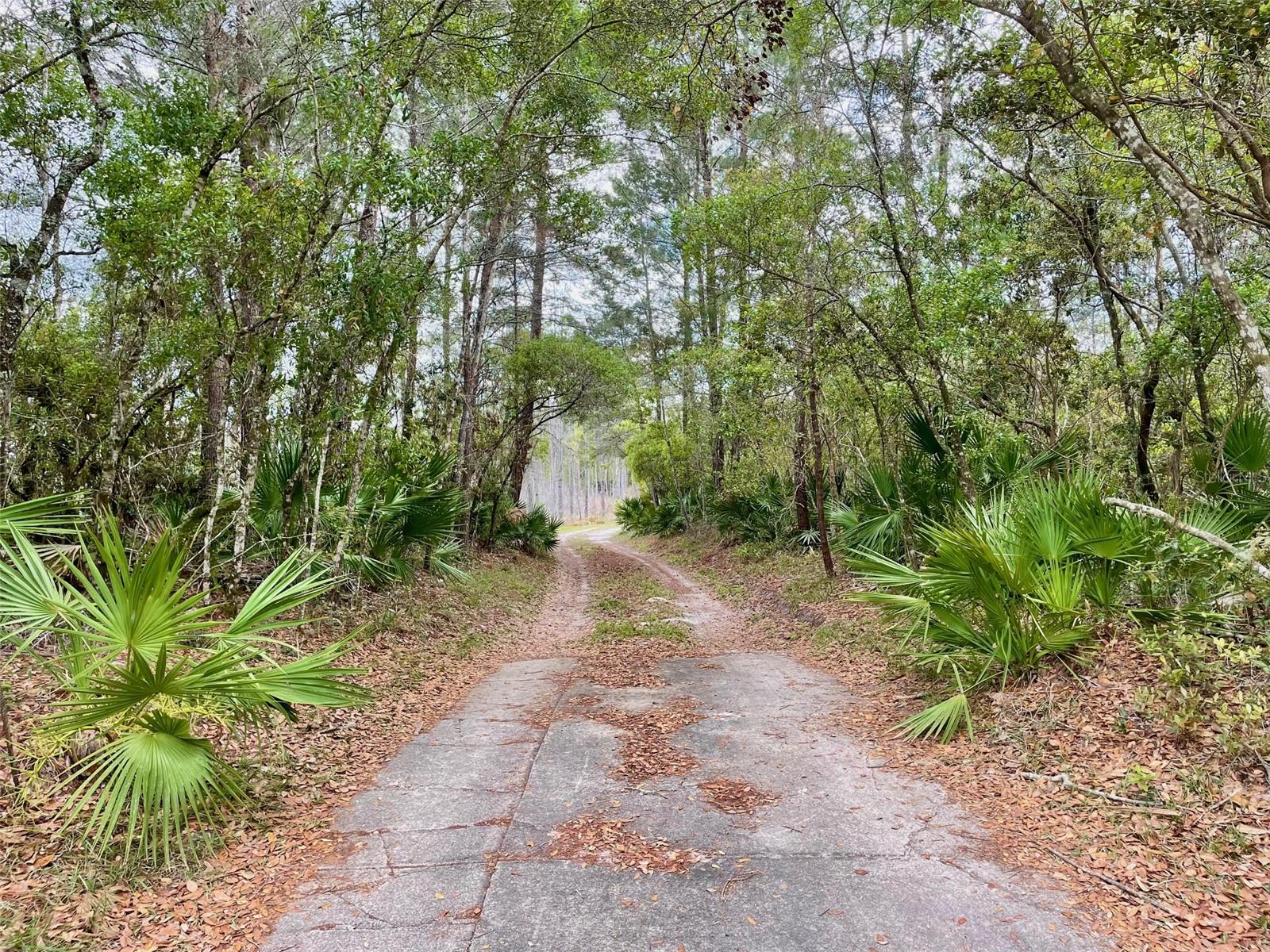 Image 3 of 27 For 349 Seminole Woods Blvd