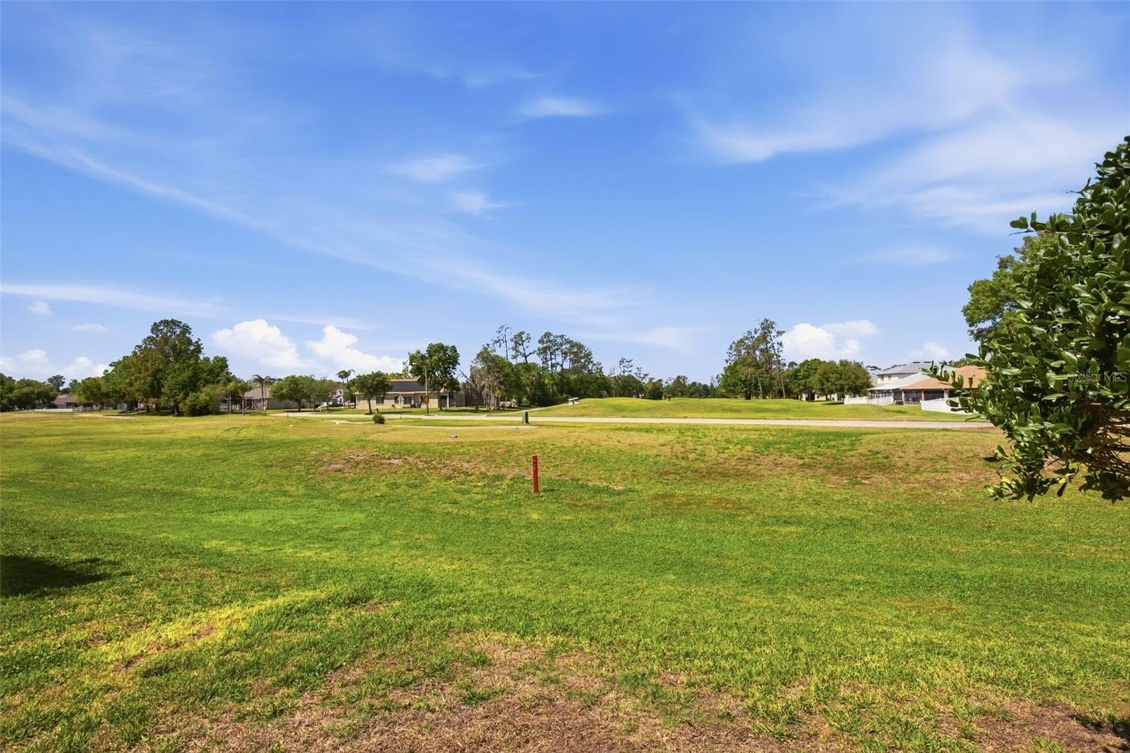 Image 39 of 52 For 5917 Wedgefield Drive