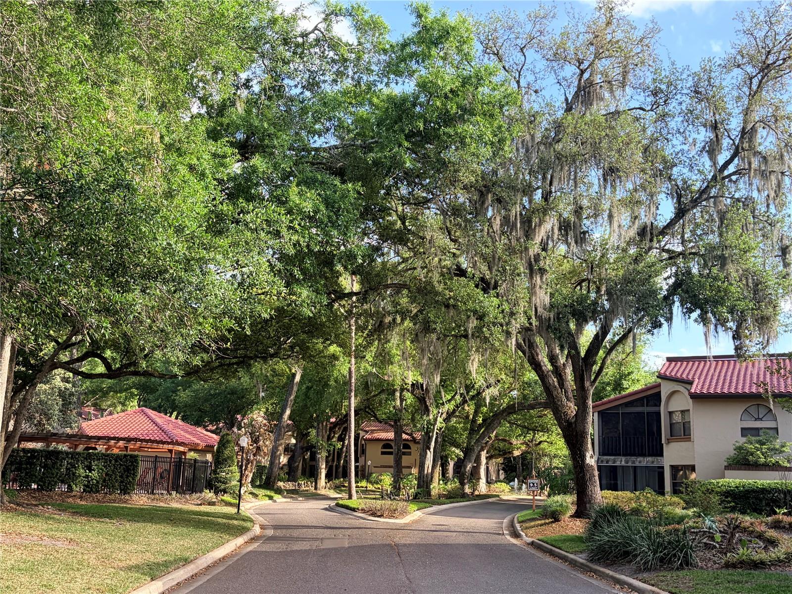 Image 21 of 34 For 2823 Marsala Court 2823