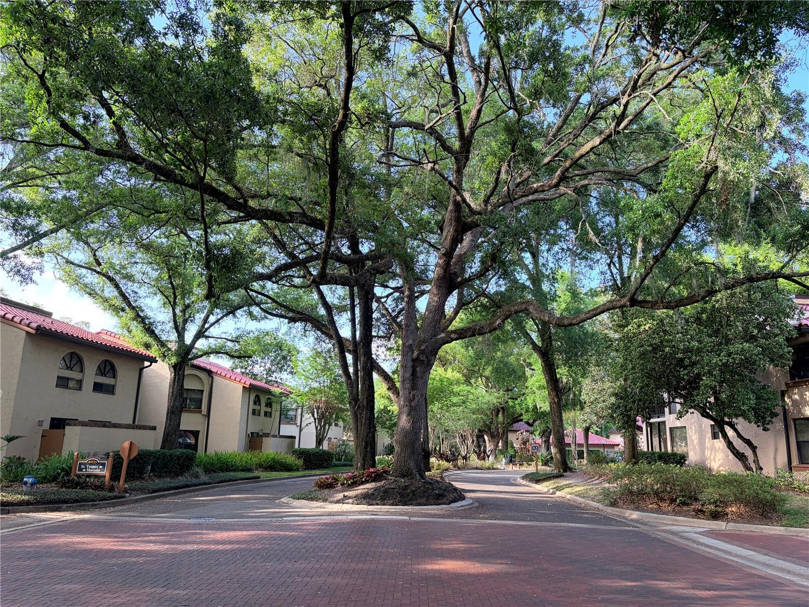 Image 22 of 34 For 2823 Marsala Court 2823