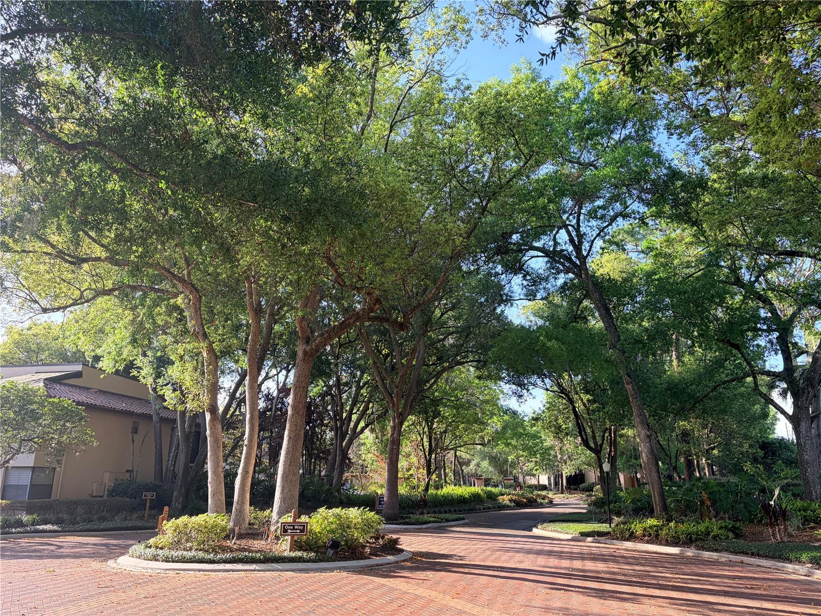 Image 23 of 34 For 2823 Marsala Court 2823