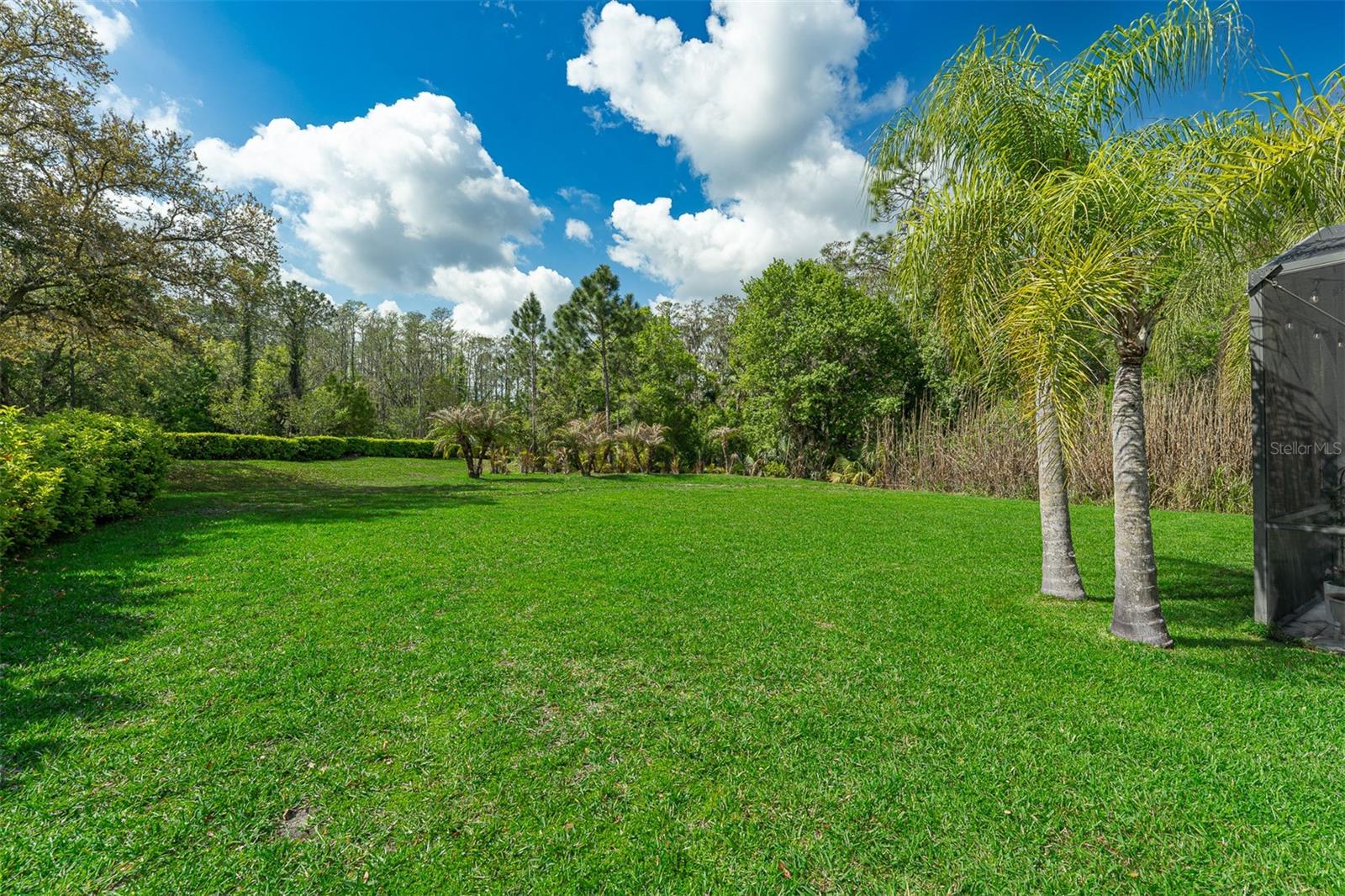 Image 5 of 53 For 14256 Nottingham Way Circle