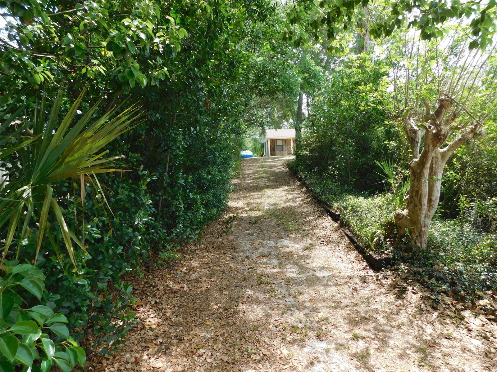 Image 8 of 12 For 208 Orange Ridge Circle