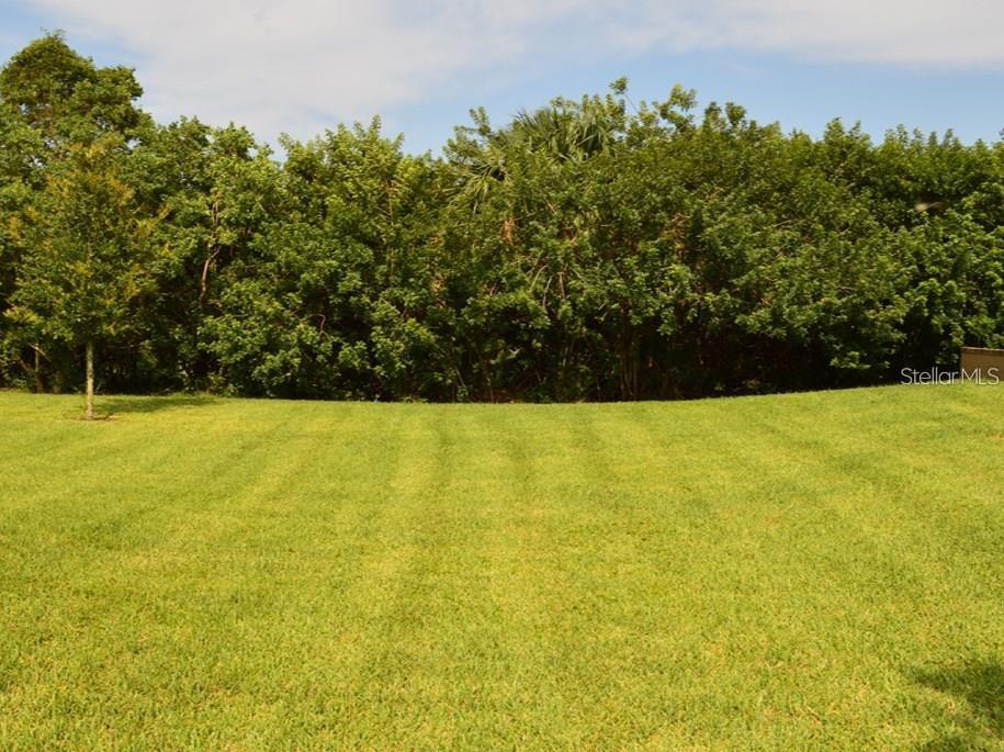 Image 13 of 16 For 2221 Tulip Valley Point