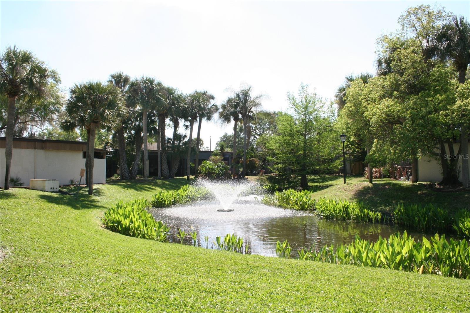 Image 28 of 29 For 2400 Dominica Run