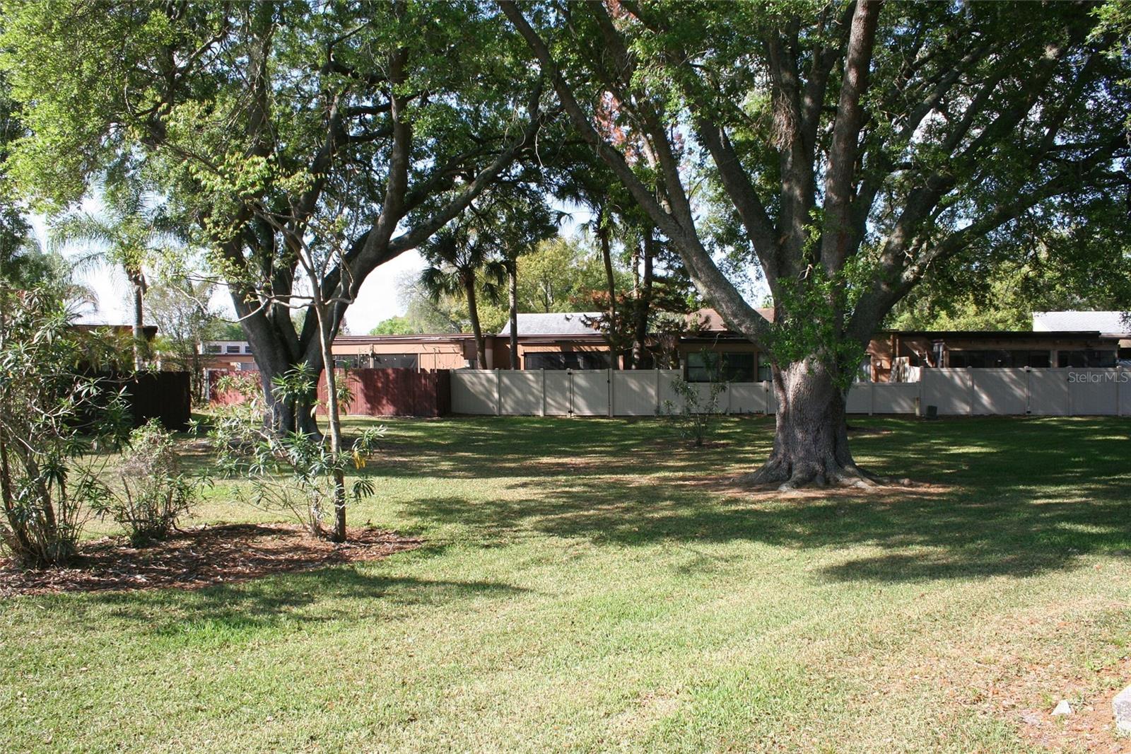 Image 4 of 29 For 2400 Dominica Run