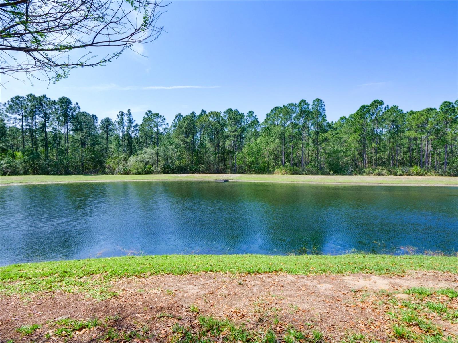 Image 27 of 36 For 9055 Treasure Trove Lane 101