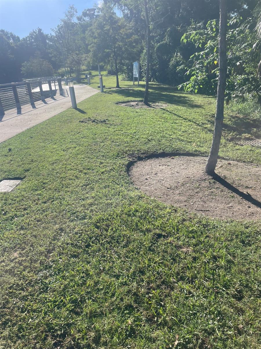 Image 4 of 5 For 1000 Montrose Street