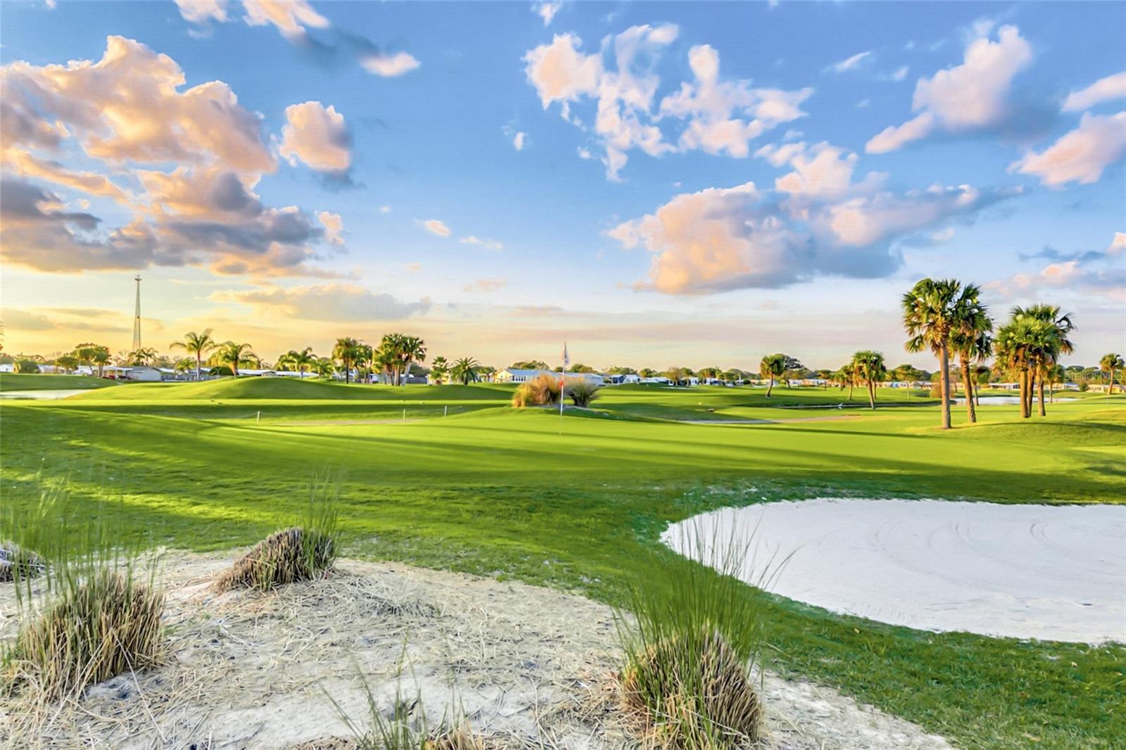 Image 42 of 80 For 917 Cypress Street