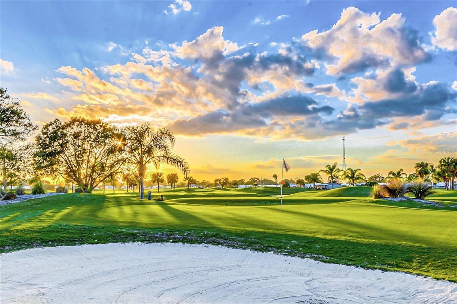 Image 43 of 80 For 917 Cypress Street