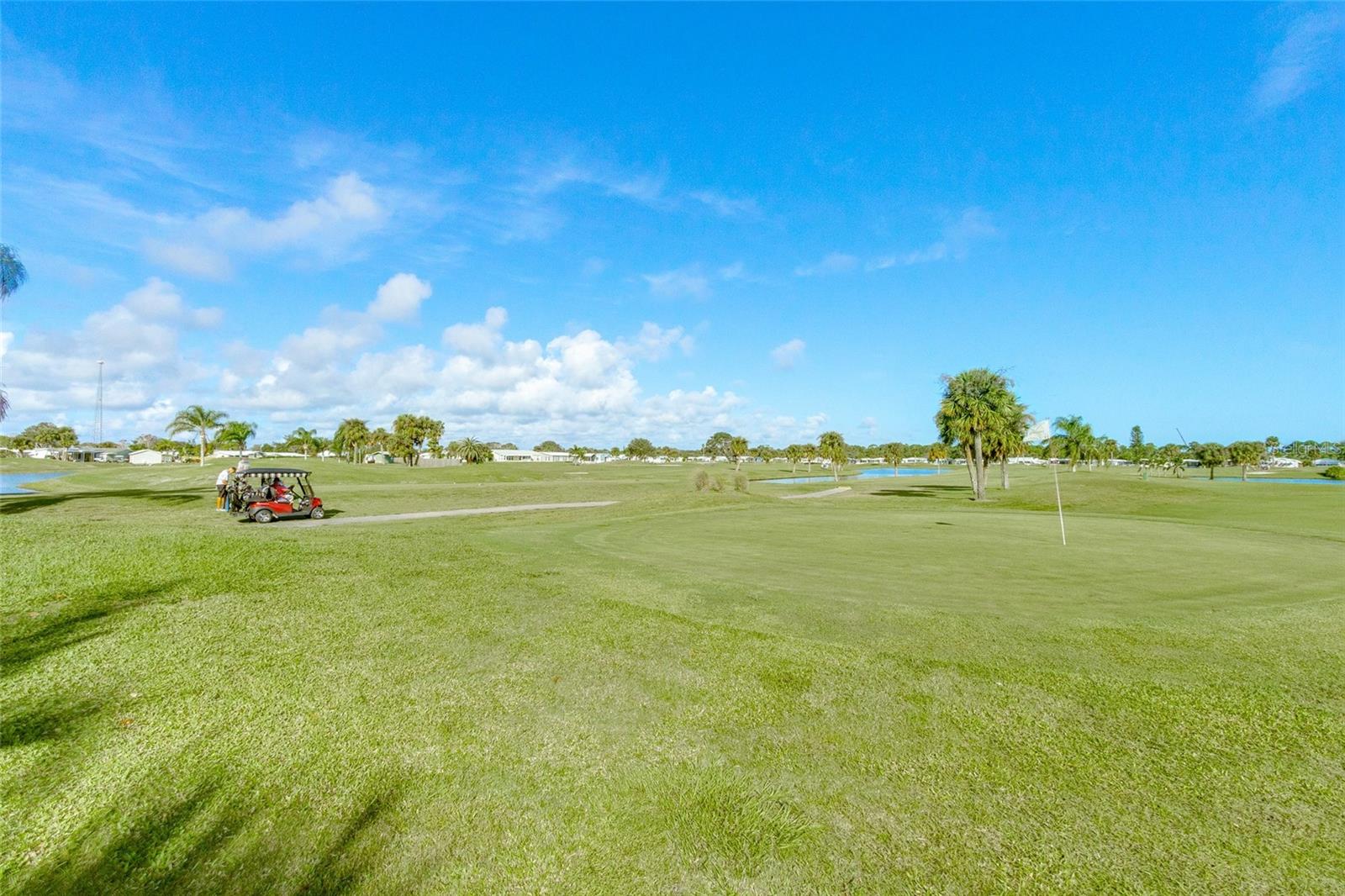 Image 51 of 80 For 917 Cypress Street