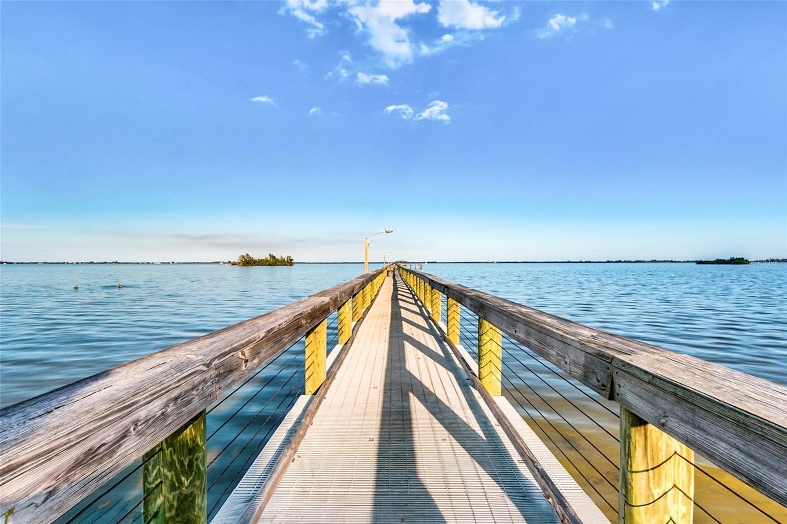 Image 59 of 80 For 917 Cypress Street