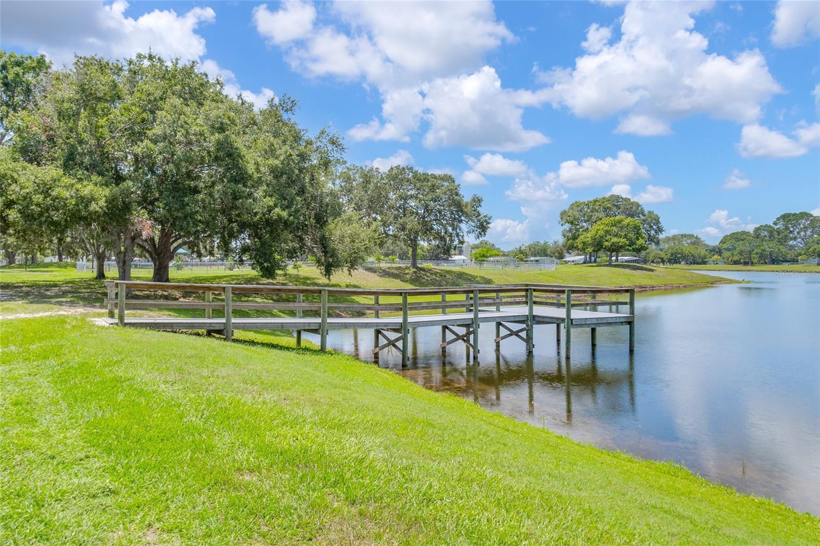 Image 64 of 80 For 917 Cypress Street