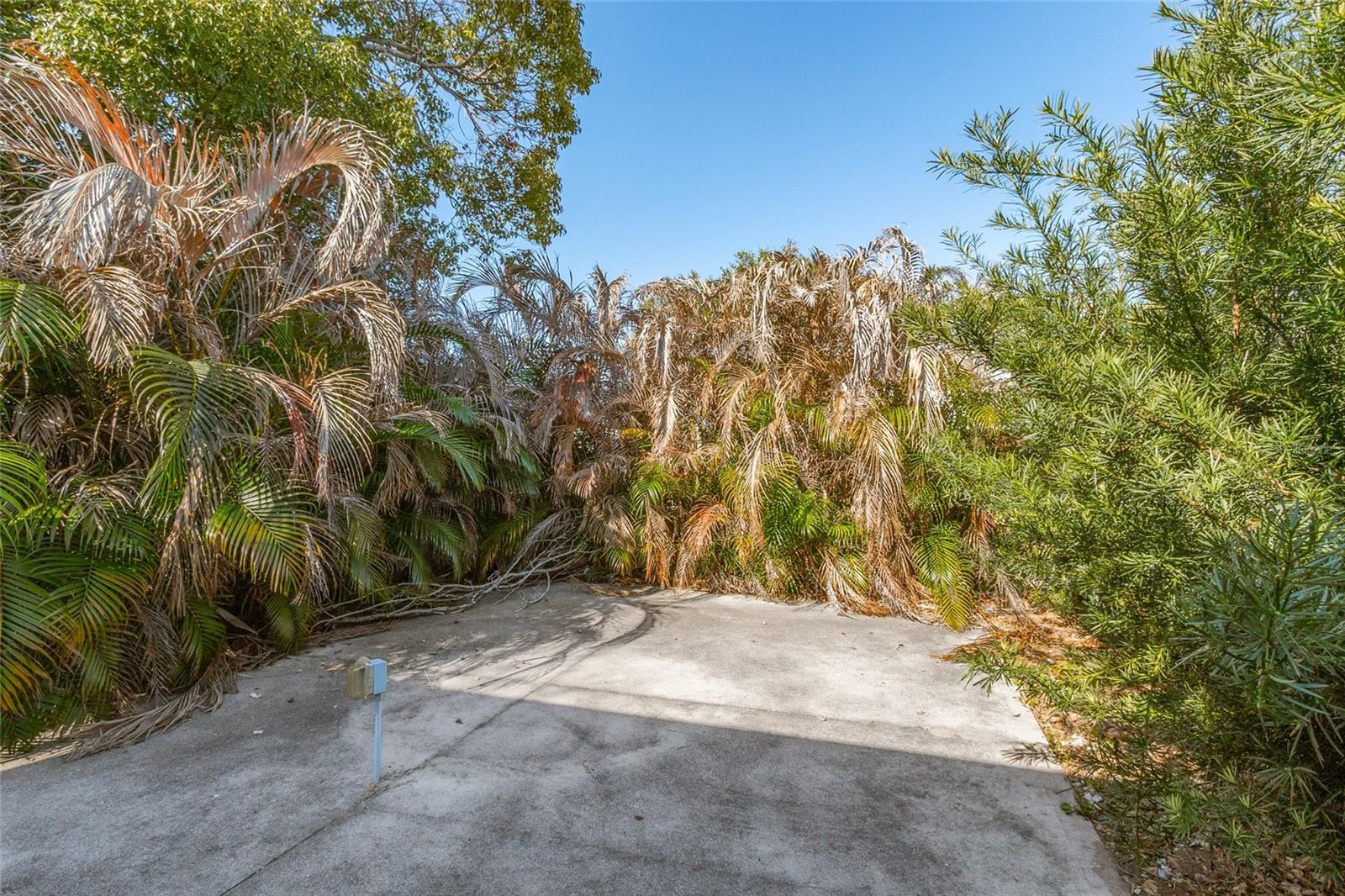 Image 7 of 80 For 917 Cypress Street