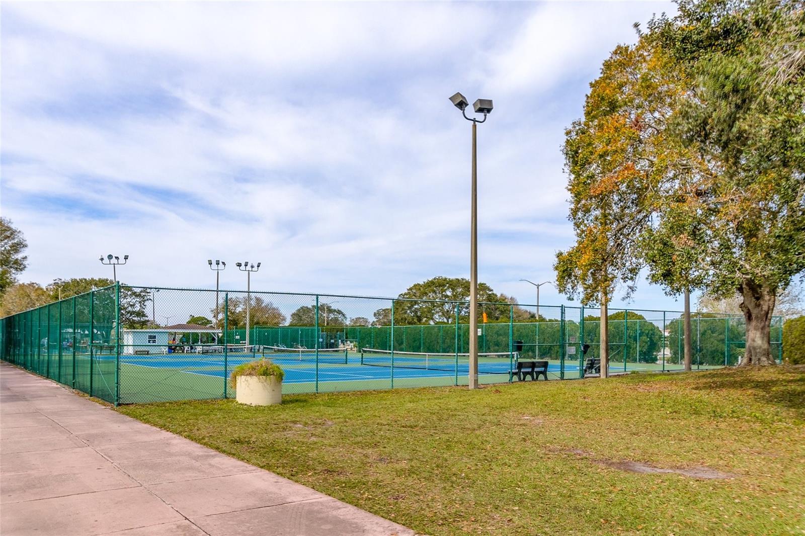 Image 74 of 80 For 917 Cypress Street