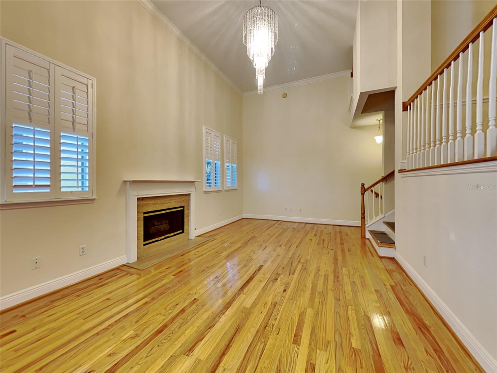 Image 4 of 21 For 3315 De Leon Street 6