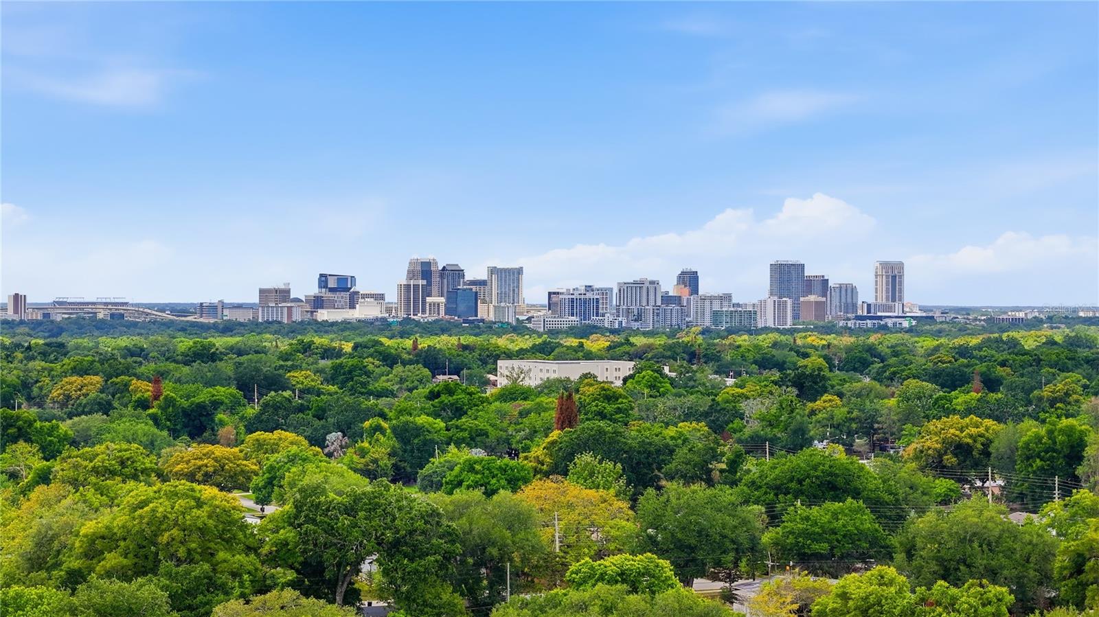 Listing photo id 42 for 1306 Ceylon Drive