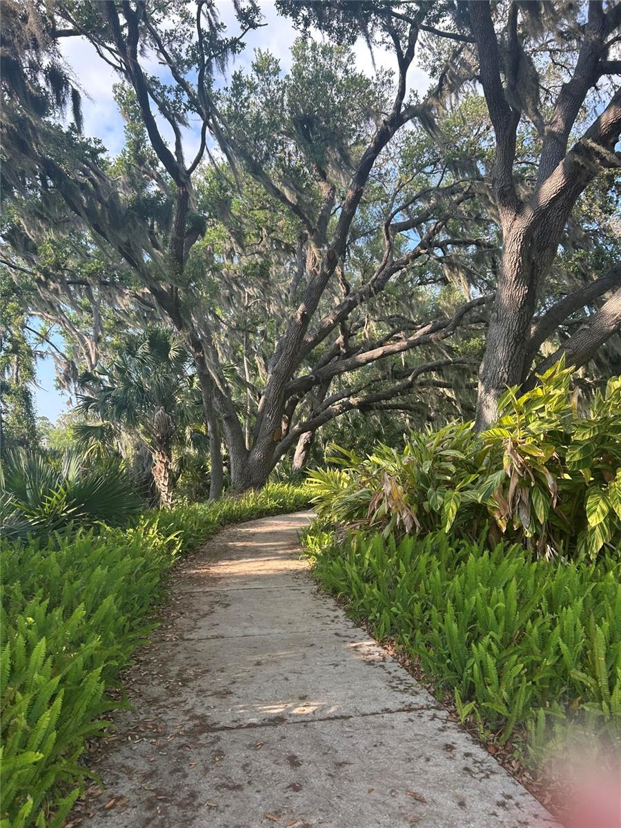 Image 13 of 16 For 4812 Forest Creek Trail