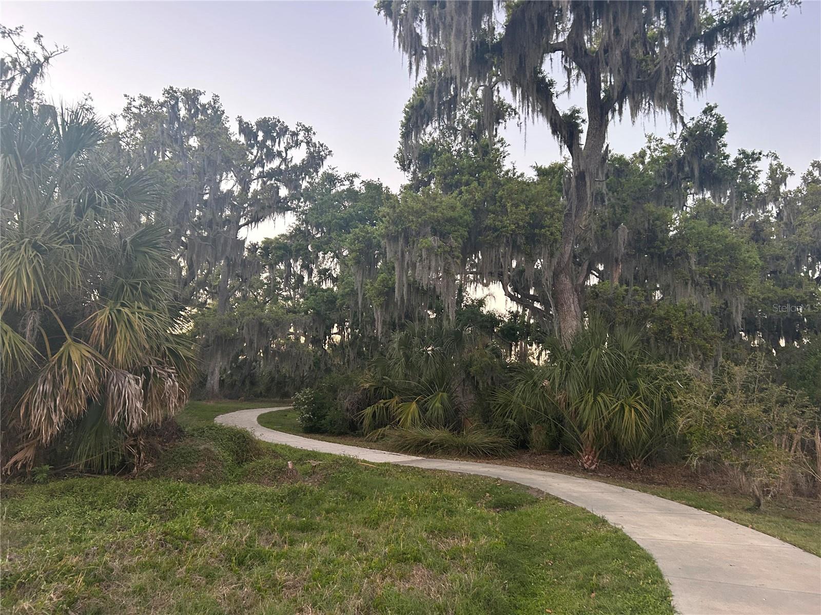 Image 9 of 16 For 4812 Forest Creek Trail