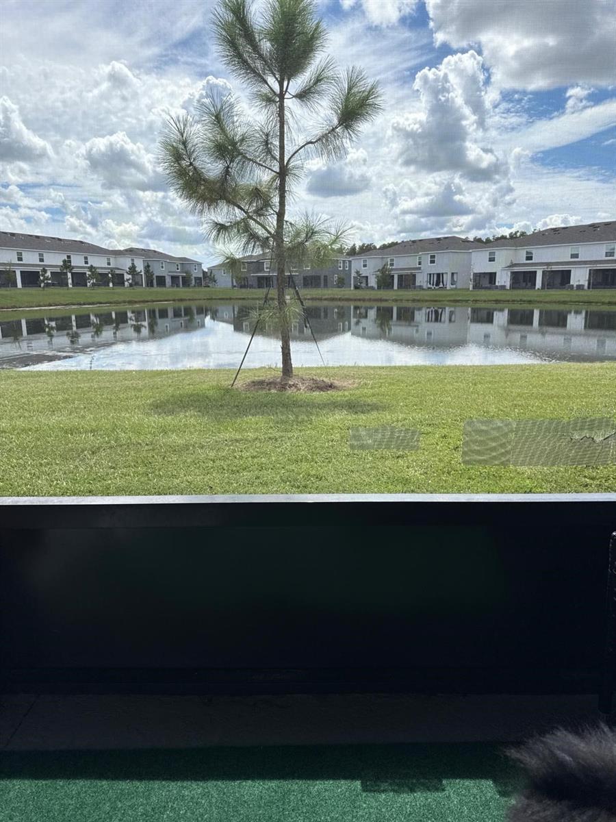 Image 40 of 45 For 32364 Turtle Grace Loop