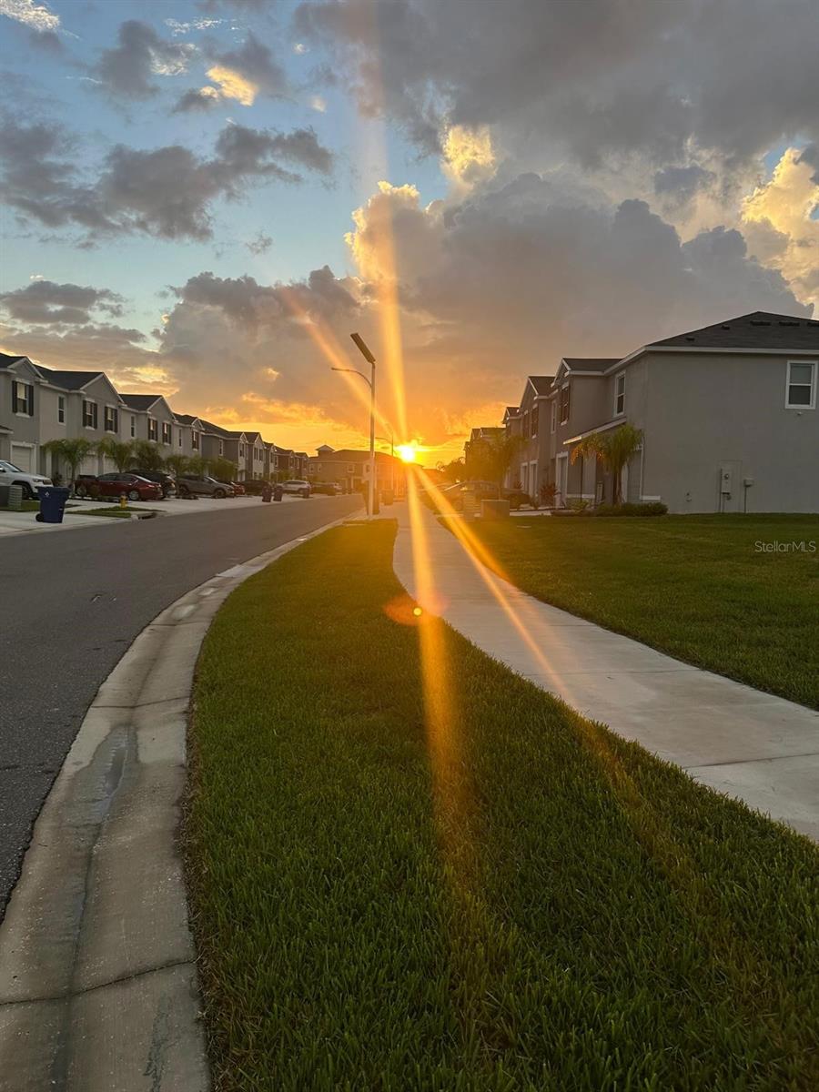 Image 43 of 45 For 32364 Turtle Grace Loop