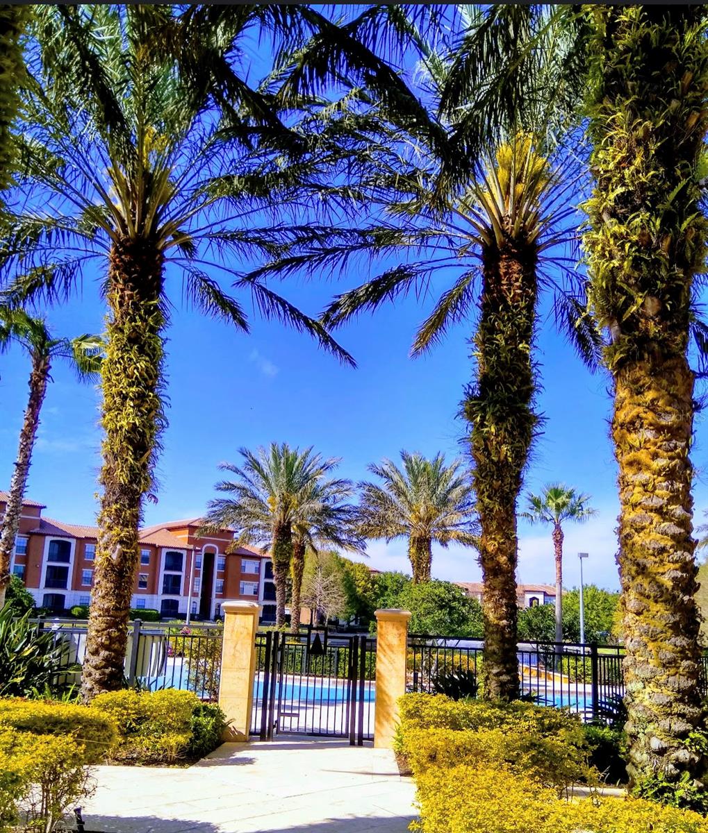 Image 21 of 28 For 6137 Metrowest Boulevard 307