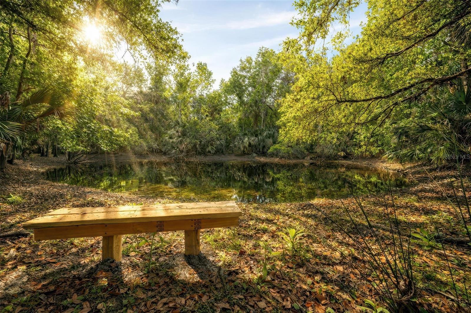 Image 10 of 59 For 2200 Retreat Road