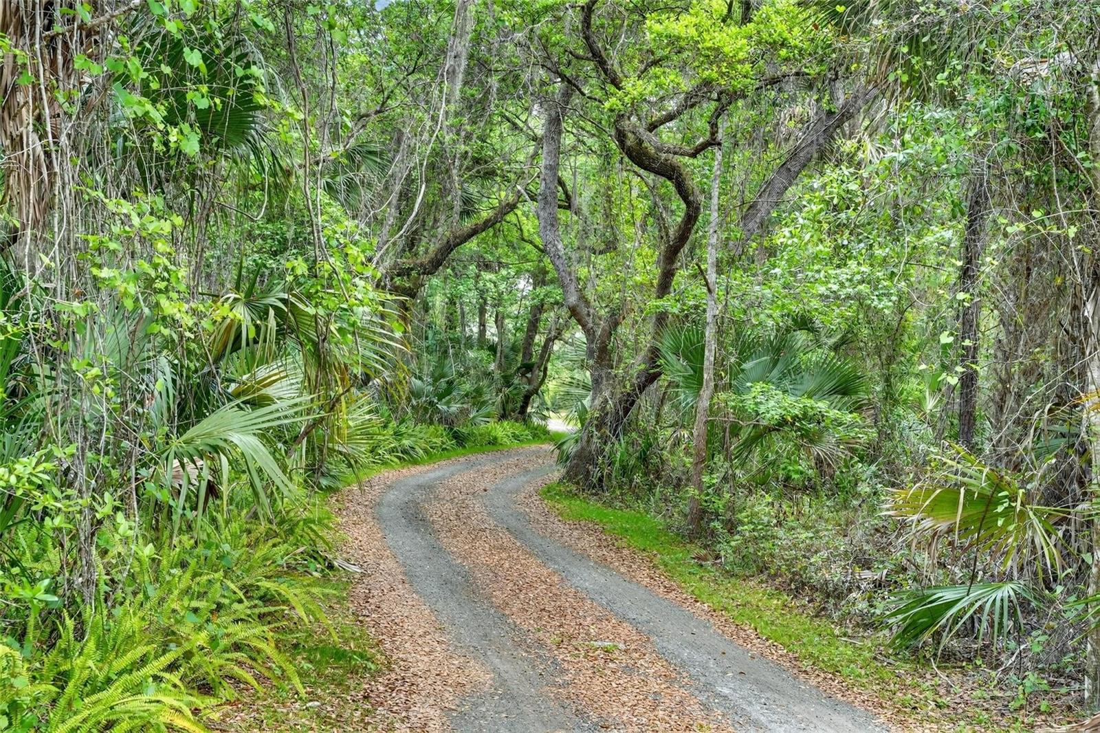 Image 4 of 59 For 2200 Retreat Road