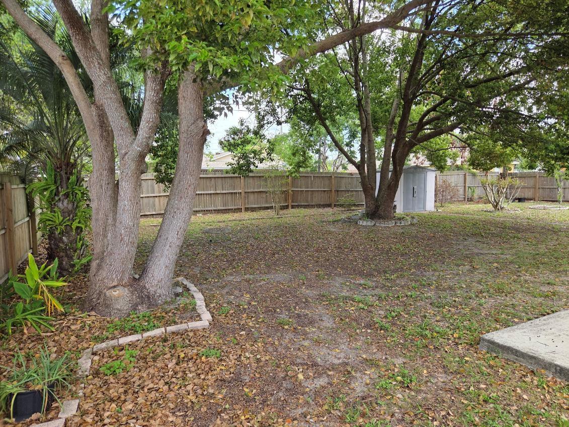 Listing photo id 27 for 2970 Newmark Drive