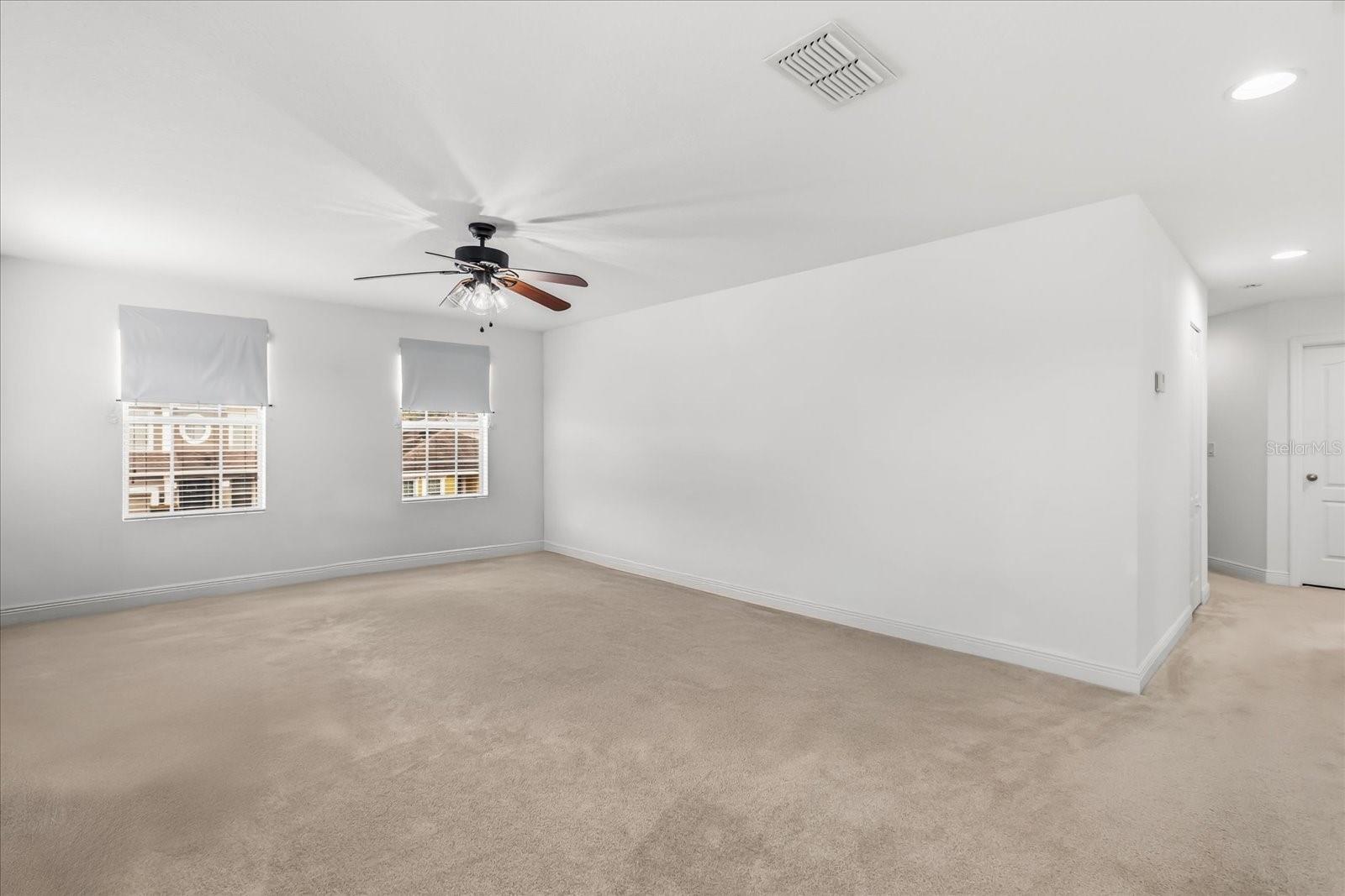 Image 12 of 23 For 10536 Cabbage Tree Loop