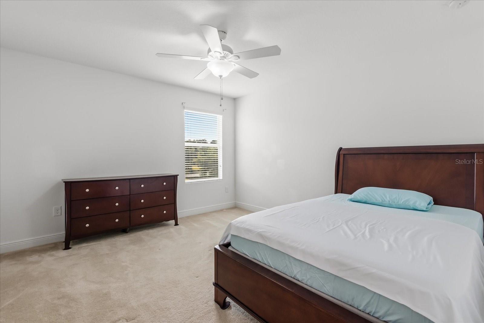 Image 13 of 23 For 10536 Cabbage Tree Loop