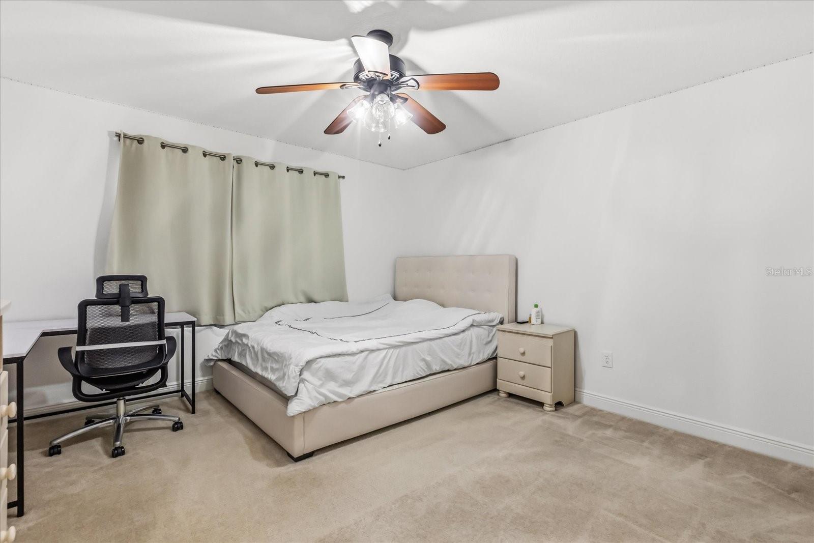 Image 15 of 23 For 10536 Cabbage Tree Loop