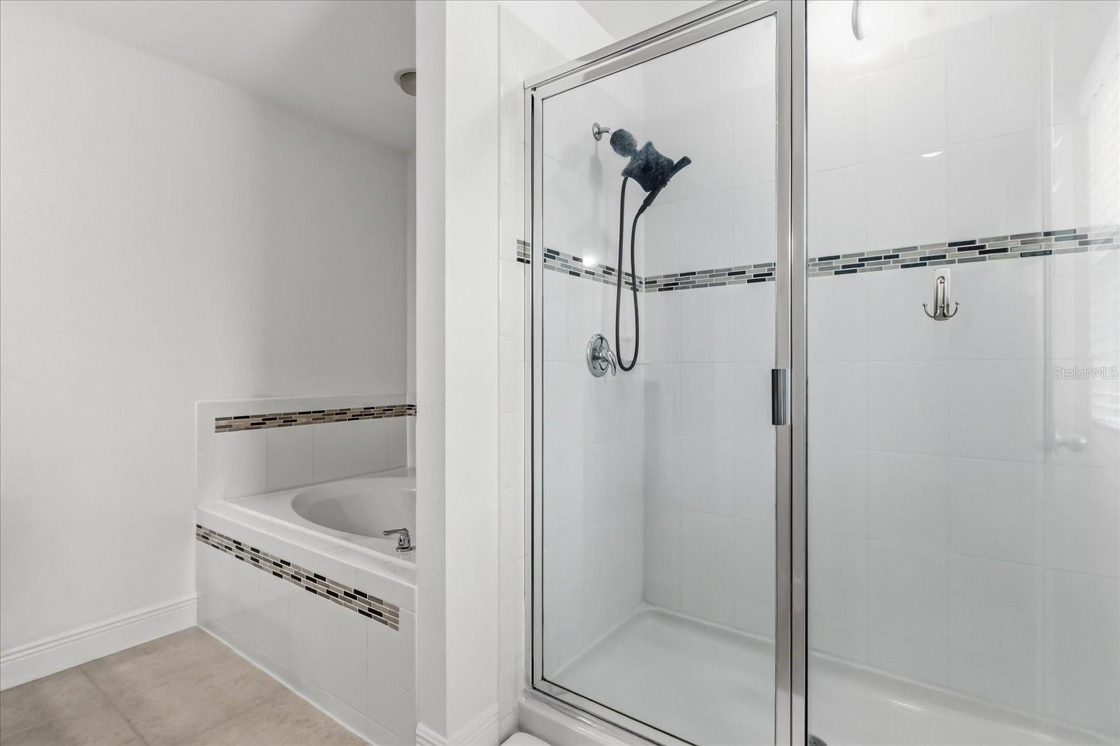 Image 18 of 23 For 10536 Cabbage Tree Loop