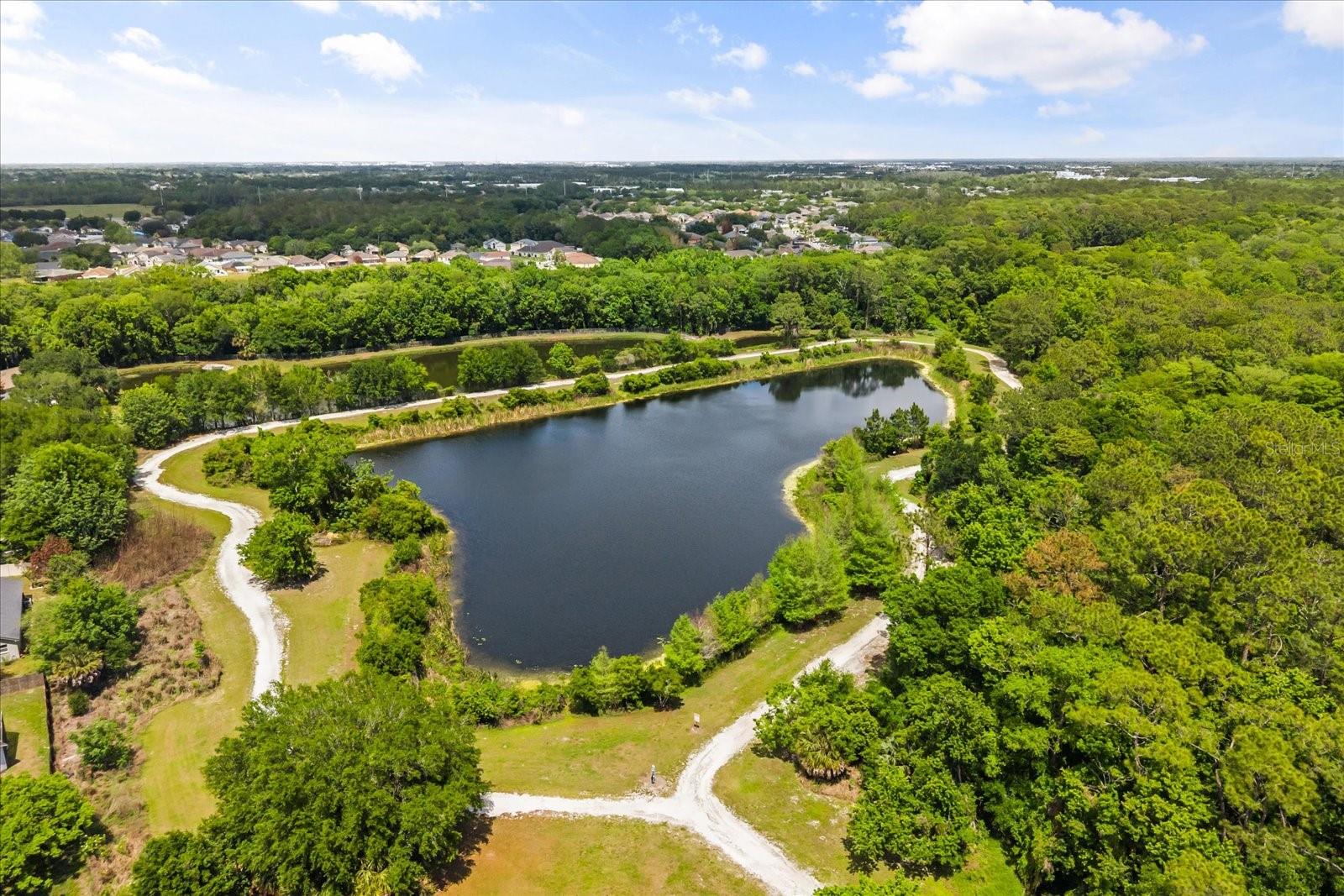Image 21 of 23 For 10536 Cabbage Tree Loop