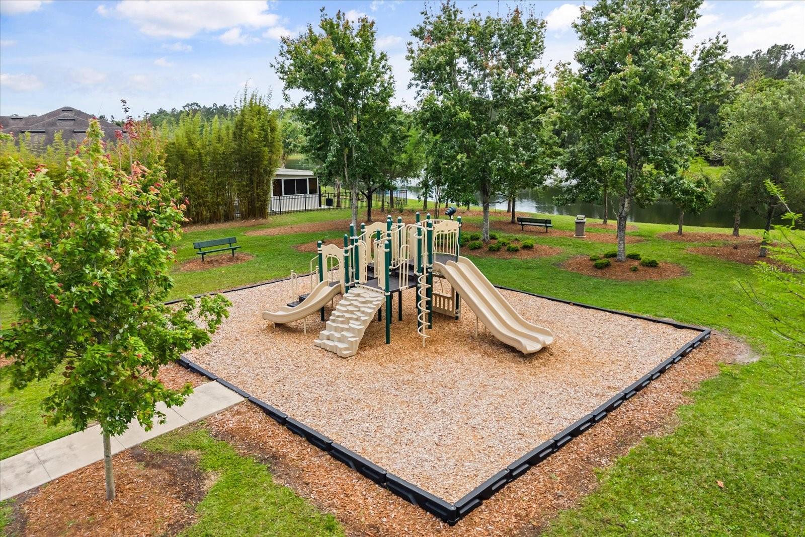 Image 23 of 23 For 10536 Cabbage Tree Loop