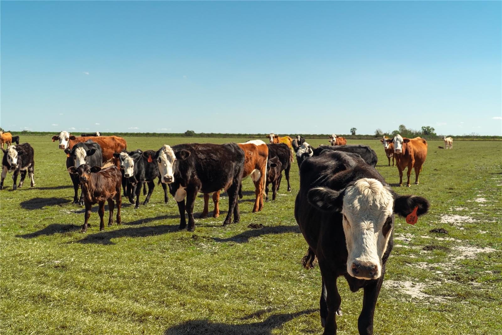 Image 12 of 32 For 1200 Arbuckle Branch Road