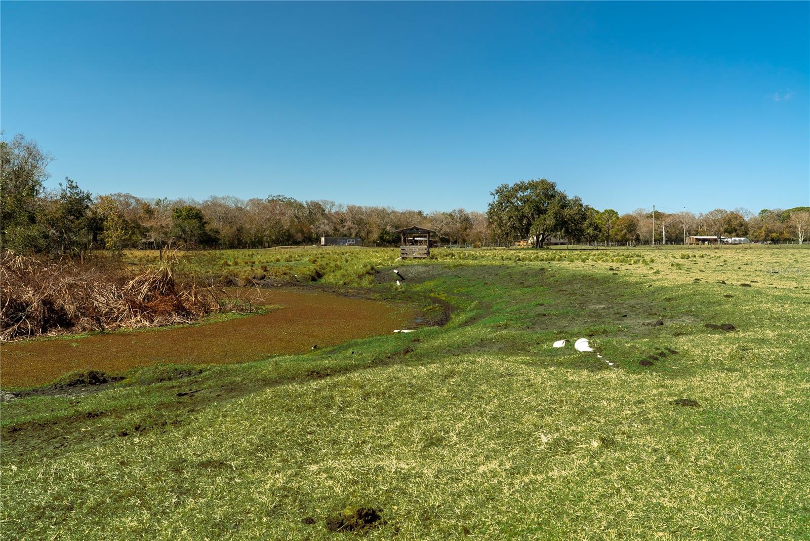 Image 15 of 32 For 1200 Arbuckle Branch Road