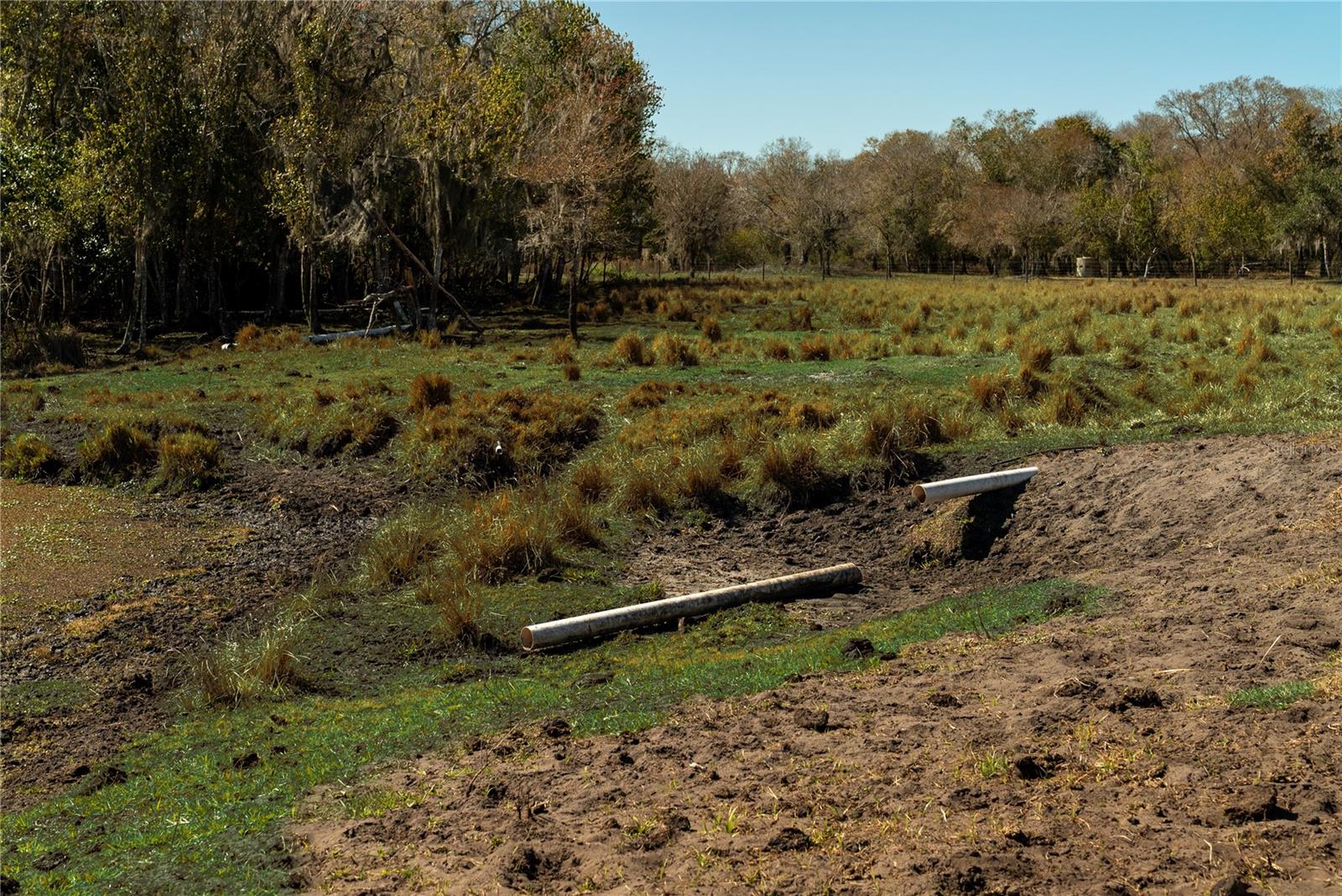 Image 17 of 32 For 1200 Arbuckle Branch Road