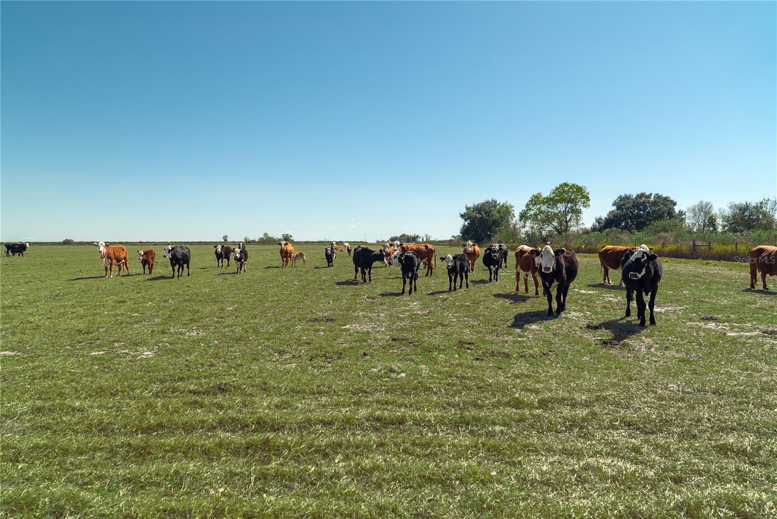 Image 27 of 32 For 1200 Arbuckle Branch Road