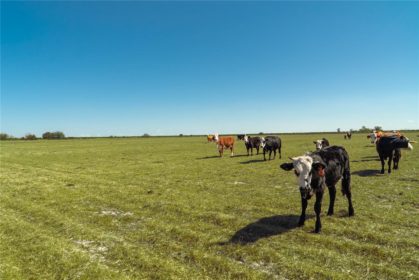 Image 28 of 32 For 1200 Arbuckle Branch Road