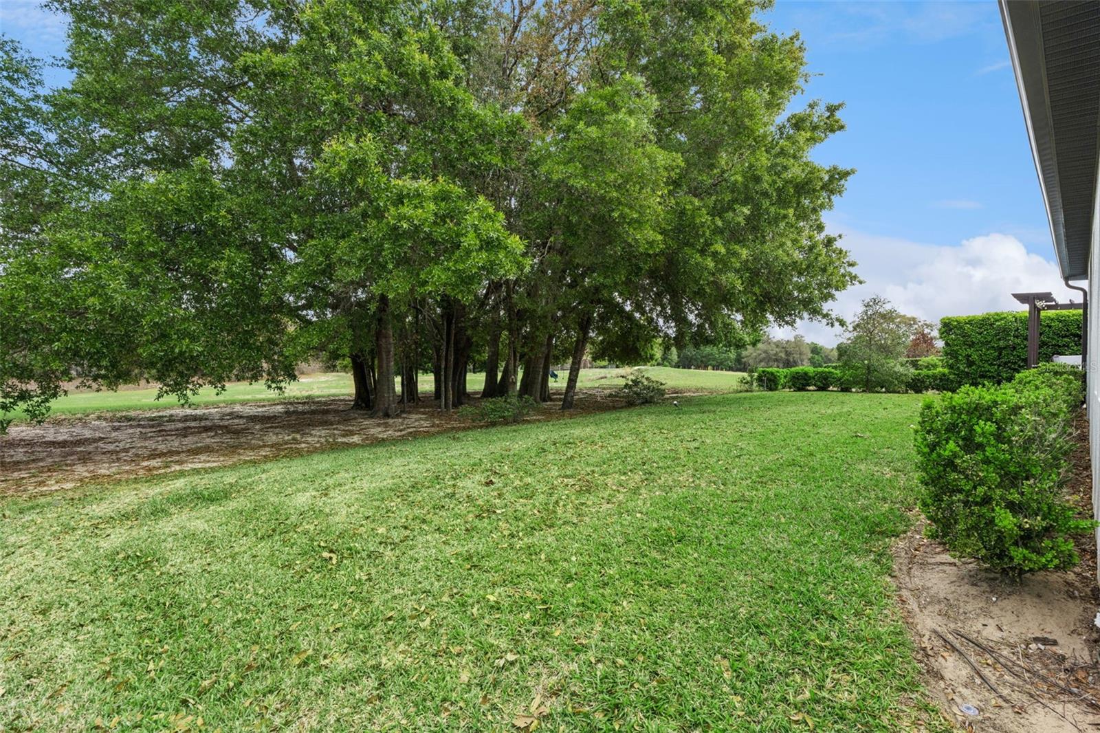 Image 38 of 41 For 1055 Rock Creek Street