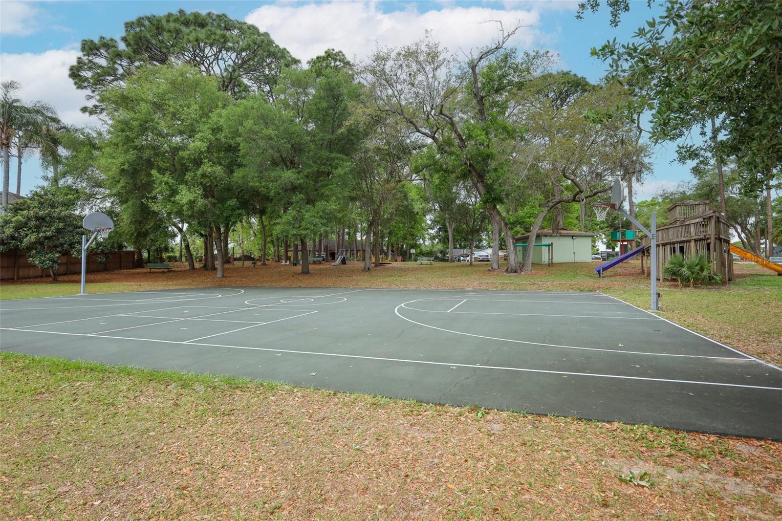 Listing photo id 52 for 102 Pineview Circle