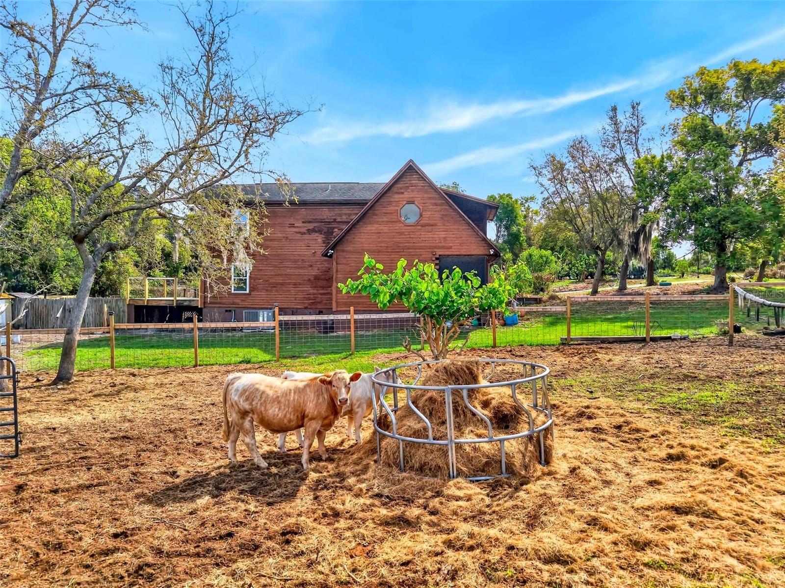 Image 2 of 30 For 150 Catalina Drive