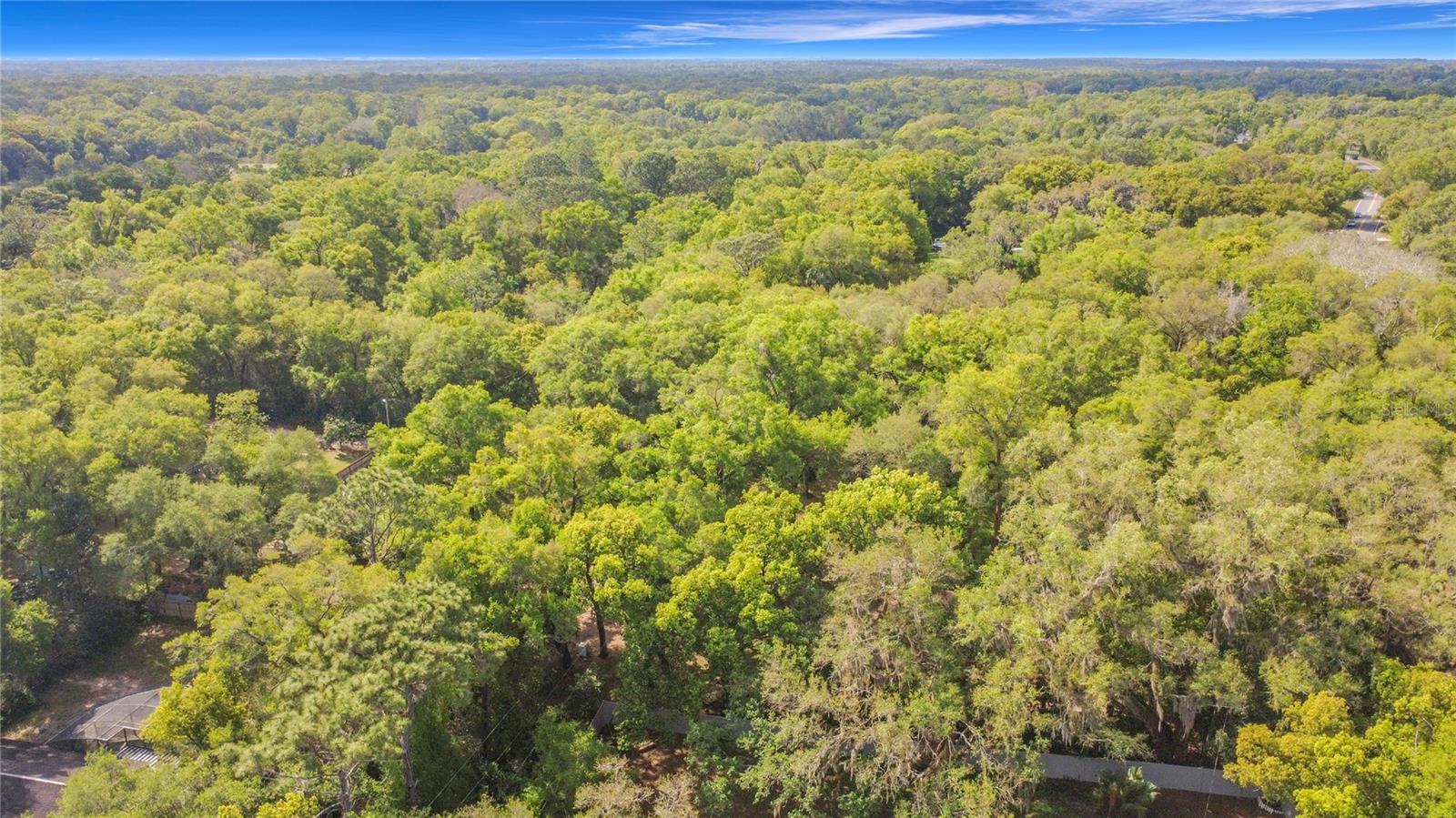 Image 35 of 39 For 31427 Ghent Avenue