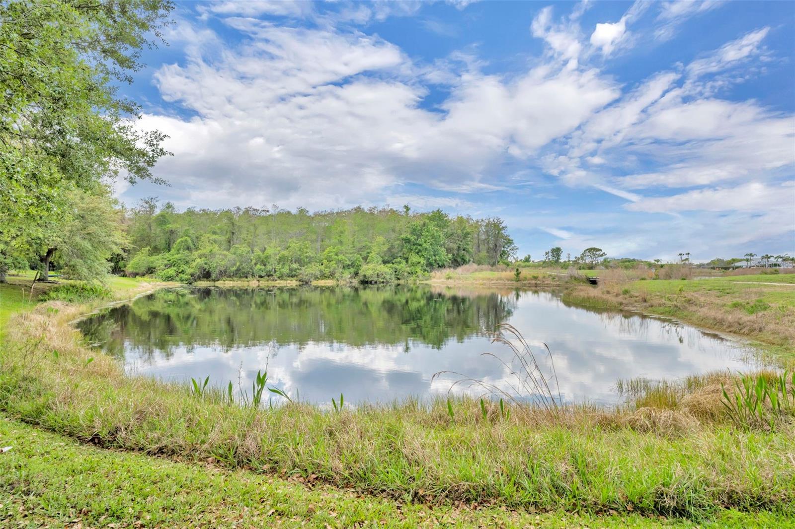 Image 31 of 72 For 1656 Anna Catherine Drive