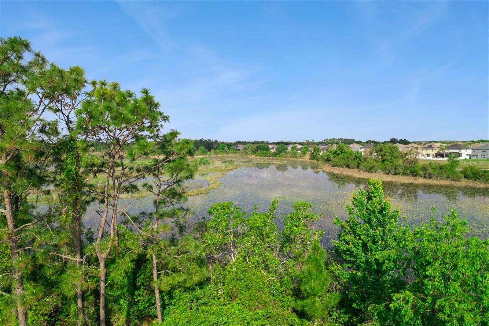 Image 10 of 81 For 3880 Fescue Street