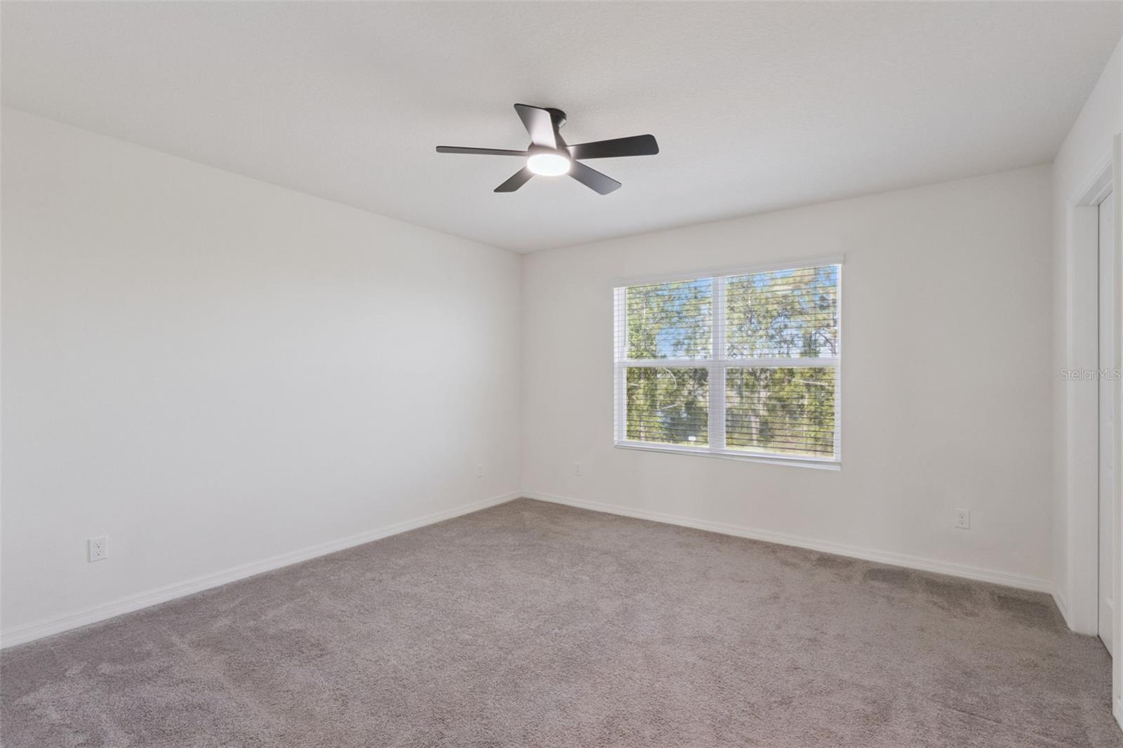 Image 53 of 81 For 3880 Fescue Street