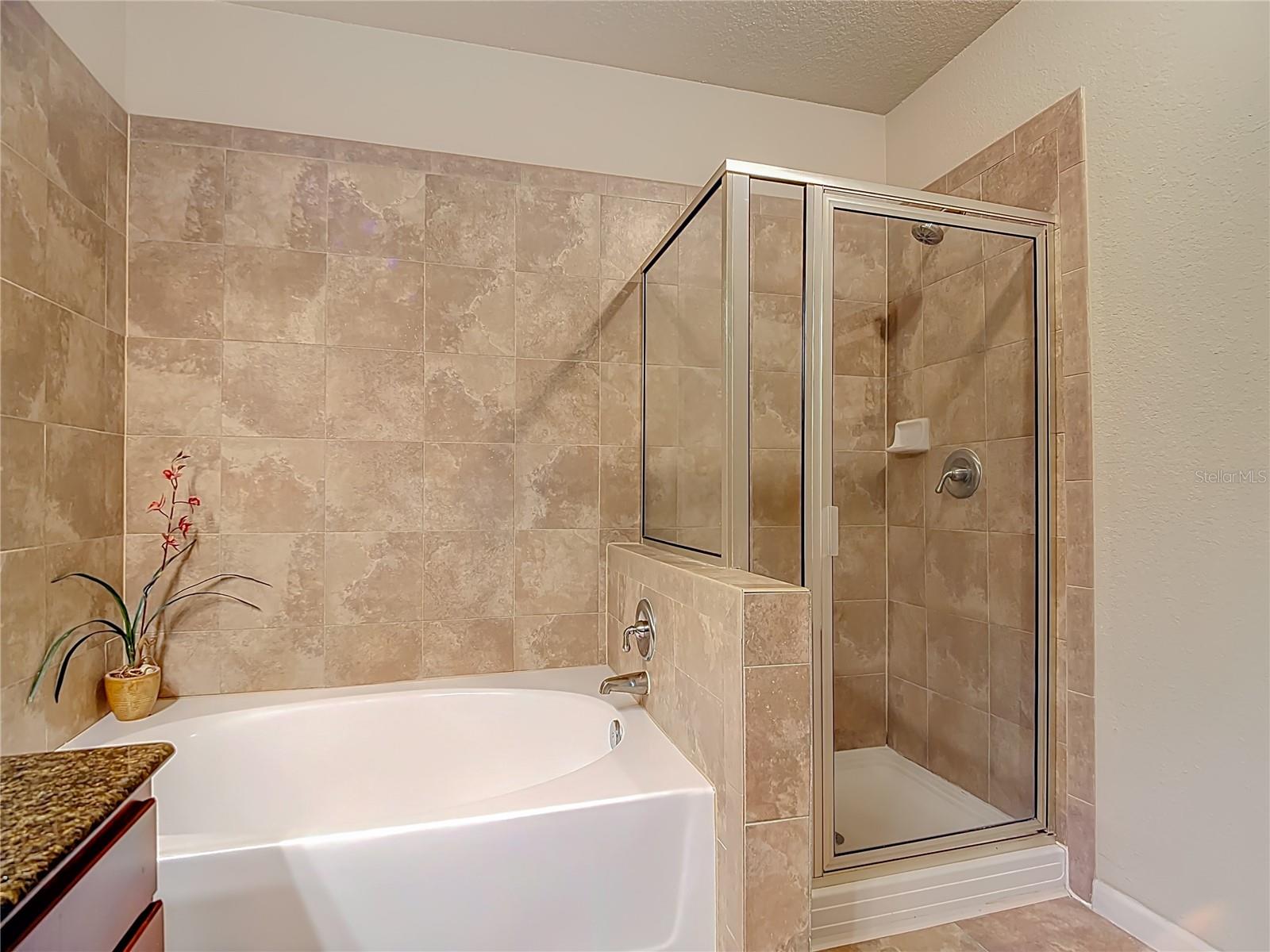 Image 15 of 37 For 910 Charo Parkway 311