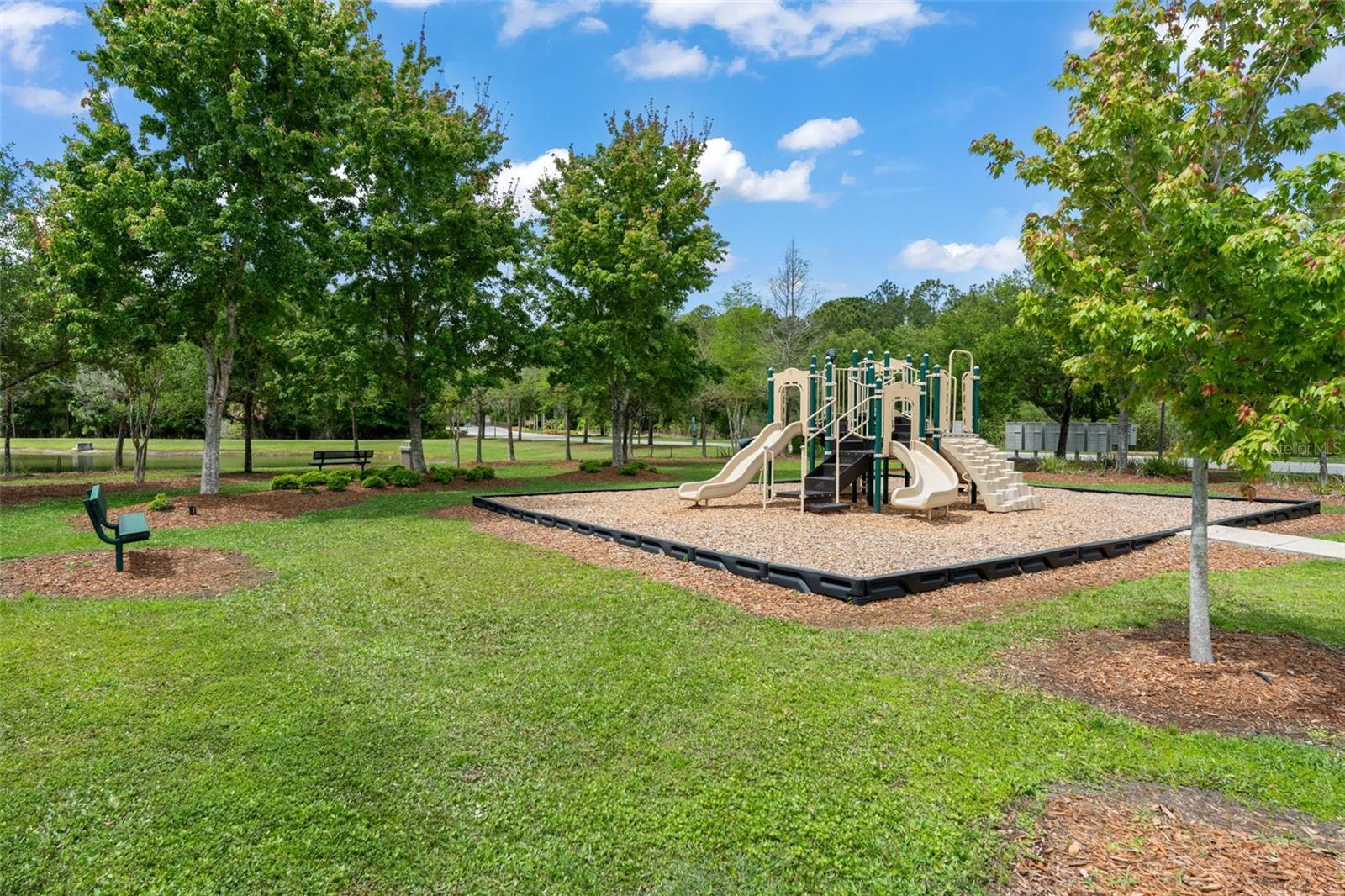 Image 49 of 50 For 10507 Cabbage Tree Loop